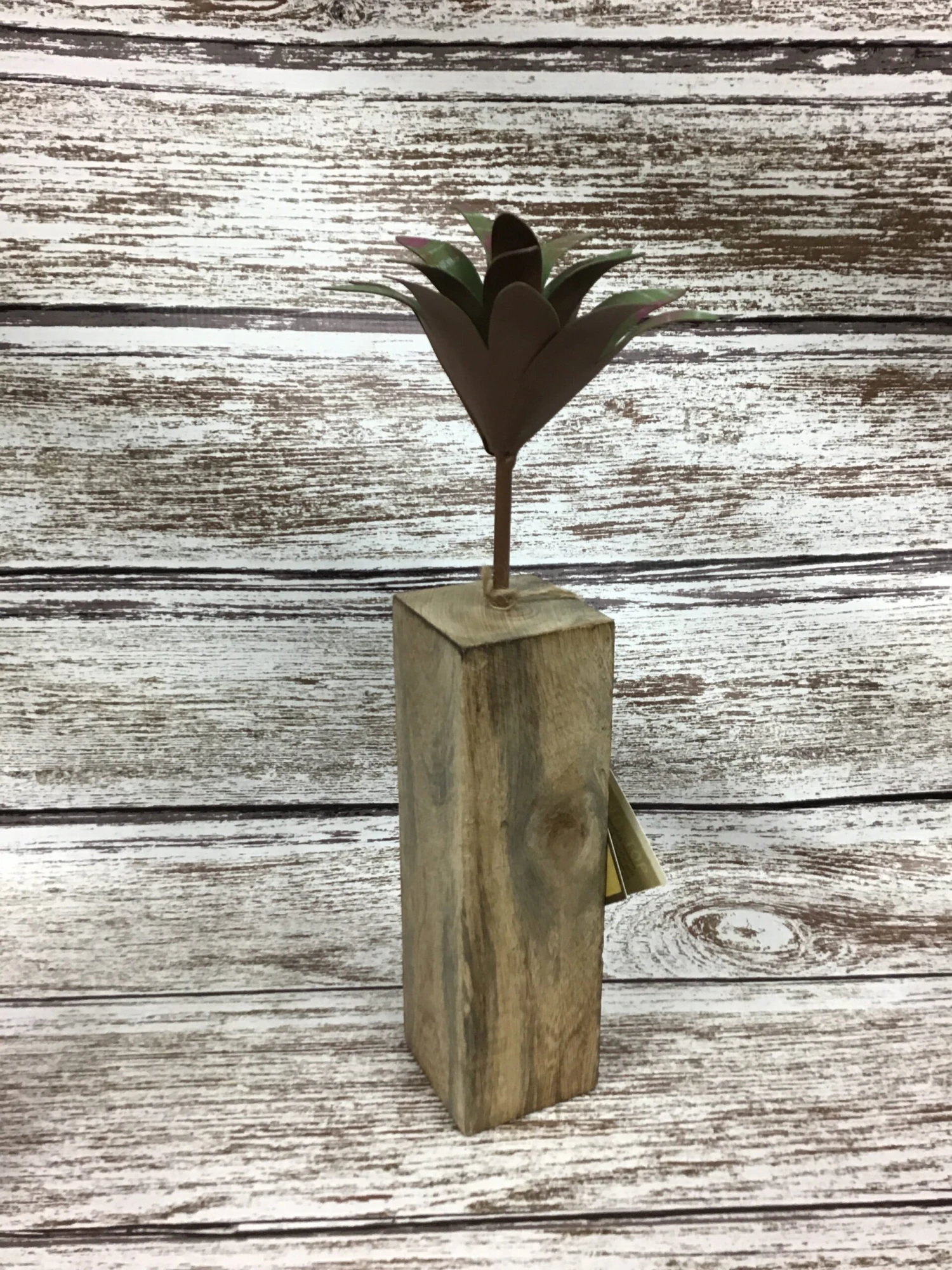 Metal Succulents - Image 2